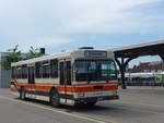 (193'748) - Wegm�ller, M�nsingen - BE 399'675 - FBW/R&J (ex Bamert, Wollerau) am 3.