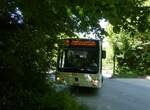 (276'110) - Welti-Furrer, Bassersdorf - Nr. 42/ZH 250'855 - Mercedes am 31. Mai 2025 beim Bahnhof Uetliberg