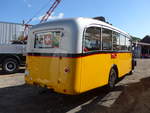 (205'810) - Zollikofer, Berg - TG 16'881 - Saurer/H�nni (ex Reusser, Thun; ex Kontiki, Wettingen; ex Nussbaumer, Ganterschwil) am 8.
