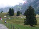 (163'266) - PostAuto-Haltestelle am 2. August 2015 in Schw�galp, Passh�he