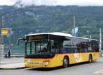 (263'239) - Fl�ck, Brienz - Nr.