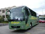 (263'311) - Gafner, Gwatt - Nr.