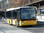 (243'042) - Fl�ck, Brienz - Nr.
