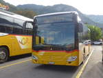 (209'749) - Fl�ck, Brienz - Nr.