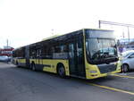 (258'757) - STI Thun - Nr.