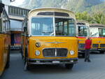 (228'500) - R�ber, Mettmenstetten - ZH 546'297 - FBW/Gangloff (ex P 23'202; ex P 21'002) am 2.