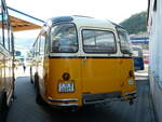 (228'532) - R�egg, R�ti - SG 45'977 - FBW/FHS (ex Kantonspolizei, Bern; ex P 23'180; ex P 2215) am 2.