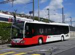 (274'282) - CJ Tramelan - Nr.
