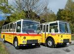 (256'488) - Lambach, Gommiswald - NW 24'301 - FBW/Eggli (ex Tanner+Lambach, Riegoldswil; ex Lambach, Rieden; ex Meier, Gr�t; ex AVG Grindelwald Nr.
