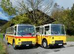 (256'490) - Lambach, Gommiswald - NW 24'301 - FBW/Eggli (ex Tanner+Lambach, Reigoldswil; ex Lambach, Rieden; ex Meier, Gr�t; ex AVG Grindelwald Nr.