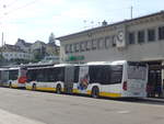 (209'645) - VBSH Schaffhausen - Nr.