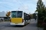 (281'118) - VBSH Schaffhausen - Nr.