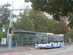 (220'825) - BOGG Wangen b.O.