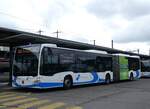 (262'431) - BOGG Wangen b.O.