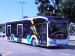 (277'744) - BOGG Wangen b.O.