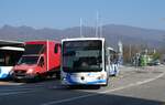 (285'483) - BOGG Wangen b.O.