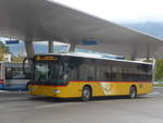 (209'982) - PostAuto Ostschweiz - SG 356'488 - Mercedes (ex Schmidt, Oberb�ren) am 6.