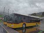 (228'135) - PostAuto Graub�nden - PID 11'659 - Mercedes am 19.