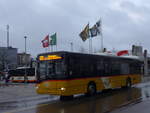 (186'952) - Schmidt, Oberb�ren - SG 267'102 - Solaris (ex D�nser, Trimmis) am 14.