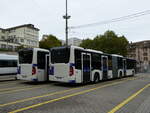 (240'425) - TL Lausanne - Nr.