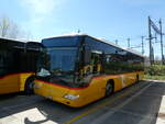 (234'740) - CarPostal Oeust - VD 605'742 - Mercedes (ex TSPG Saingel�gier) am 18.