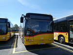 (234'751) - CarPostal Ouest - VD 305'217 - Solaris am 18.