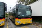 (281'227) - CarPostal Ouest - VD 205'684/PID 10'796 - Mercedes am 11.
