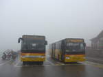 (219'899) - PostAuto Bern - BE 401'263 - Setra (ex AVG Meiringen Nr.