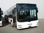 (256'375) - RVBW Wettingen - Nr.
