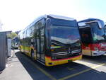 (273'877) - AutoPostale Ticino - PID 12'115 - eMercedes am 12.
