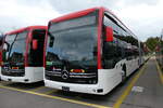 (281'168) - RVBW Wettingen - (145'904) - eMercedes am 10.