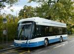 (256'271) - VBZ Z�rich - Nr.